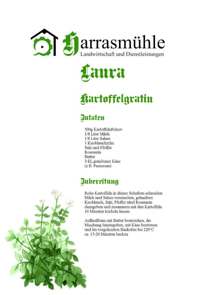 Ganz oben befindet sich das Logo mit Schriftzug der Harrasmühle, darunter ist ein Rezept für Kartoffelgratin. Die Überschriften sind in grüner Frakturschrift gehalten. Unten links befindet sich eine Illustration der Kartoffel-Pflanze.